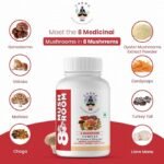 Mushroom Supplement 8 Mushroom Complex - 90 Capsules - Lions Mane, Turkey Tail, Cordyceps, Ganoderma(Reishi), Shitake, Maitake, Chaga, Oyster Mushroom Powder Extract- Immune Support, Brain Boost - Image 6