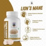 Lions Mane Supplement Capsules Mushroom Supplement - Lions Mane Powder 90 Capsules - Organic, Non-GMO, Gluten-Free - Brain Boost, Immune Support, Memory & Focus - Image 6