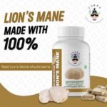 Lions Mane Supplement Capsules Mushroom Supplement - Lions Mane Powder 90 Capsules - Organic, Non-GMO, Gluten-Free - Brain Boost, Immune Support, Memory & Focus - Image 5