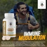 Lions Mane Supplement Capsules Mushroom Supplement - Lions Mane Powder 90 Capsules - Organic, Non-GMO, Gluten-Free - Brain Boost, Immune Support, Memory & Focus - Image 4