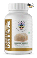 Lions Mane Supplement Capsules Mushroom Supplement - Lions Mane Powder 90 Capsules - Organic, Non-GMO, Gluten-Free - Brain Boost, Immune Support, Memory & Focus